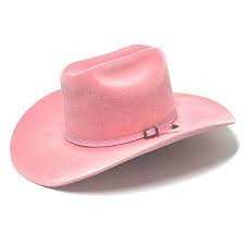 CHAPEU BOIADEIRA PINK SIMPLES