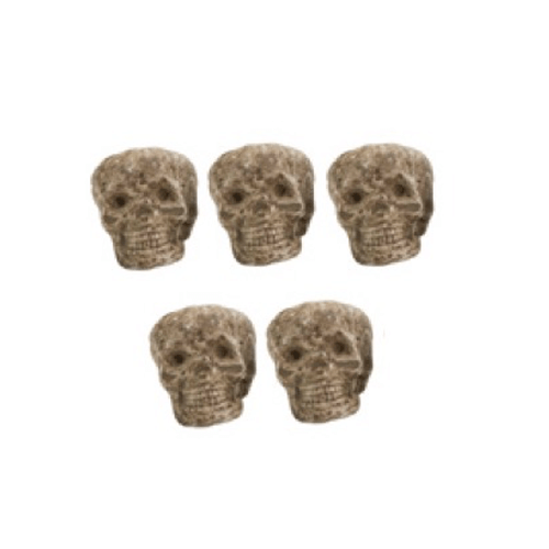 KIT CRANIO C/6UND