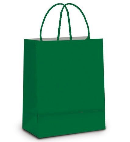 SACOLA PAPEL PP TAM: 18,0X9,0X22,0 C/10UND VERDE ESCURO