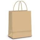 SACOLA PAPEL PP TAM: 18,0X9,0X22,0 C/10UND NATURAL