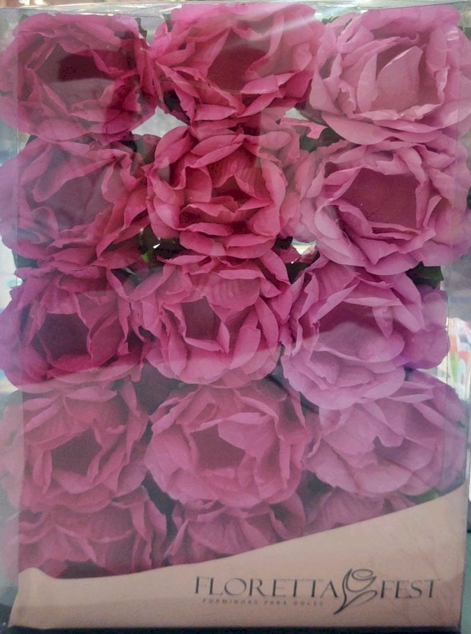 FORMINHA FLORETTA FEST C/30UND M-16 MENINA MOCA