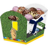 CACHEPOT MEDIO APAIXONADOS POR FUTEBOL C/8UND