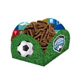 PORTA FORMINHA APAIXONADOS POR FUTEBOL C/40