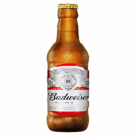 CERVEJA BUDWEISER 300ML