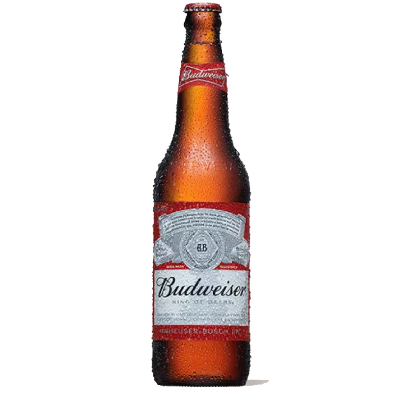 CERVEJA BUDWEISER 600ML