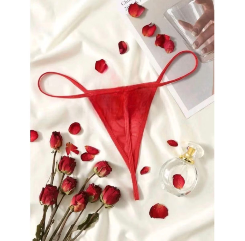 Calcinha de Tule / Viés 