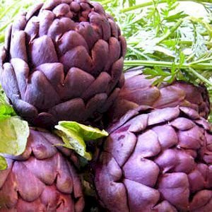 CHÁ ALCACHOFRA - 50g