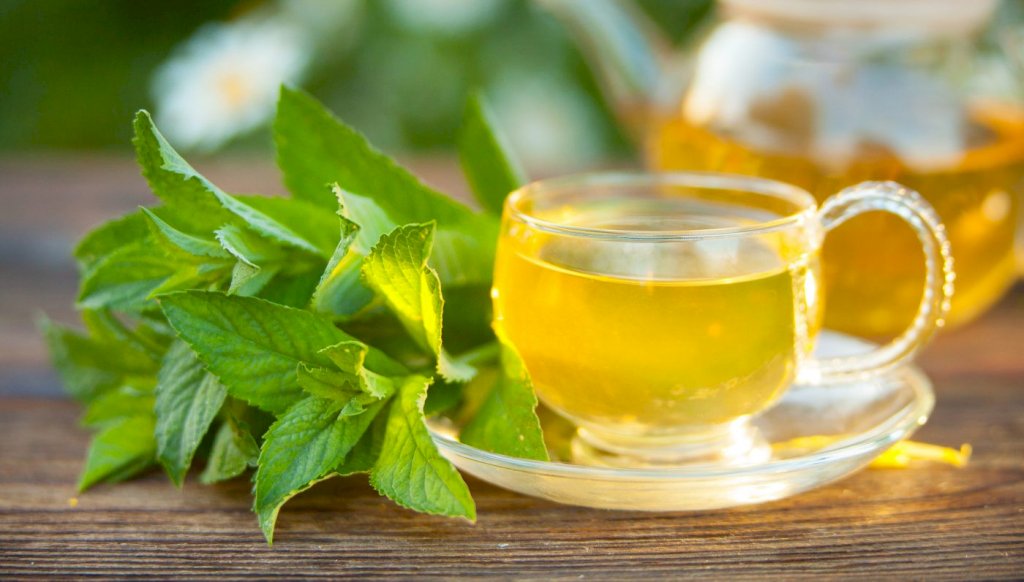 CHÁ ALFAVACA - 40grs