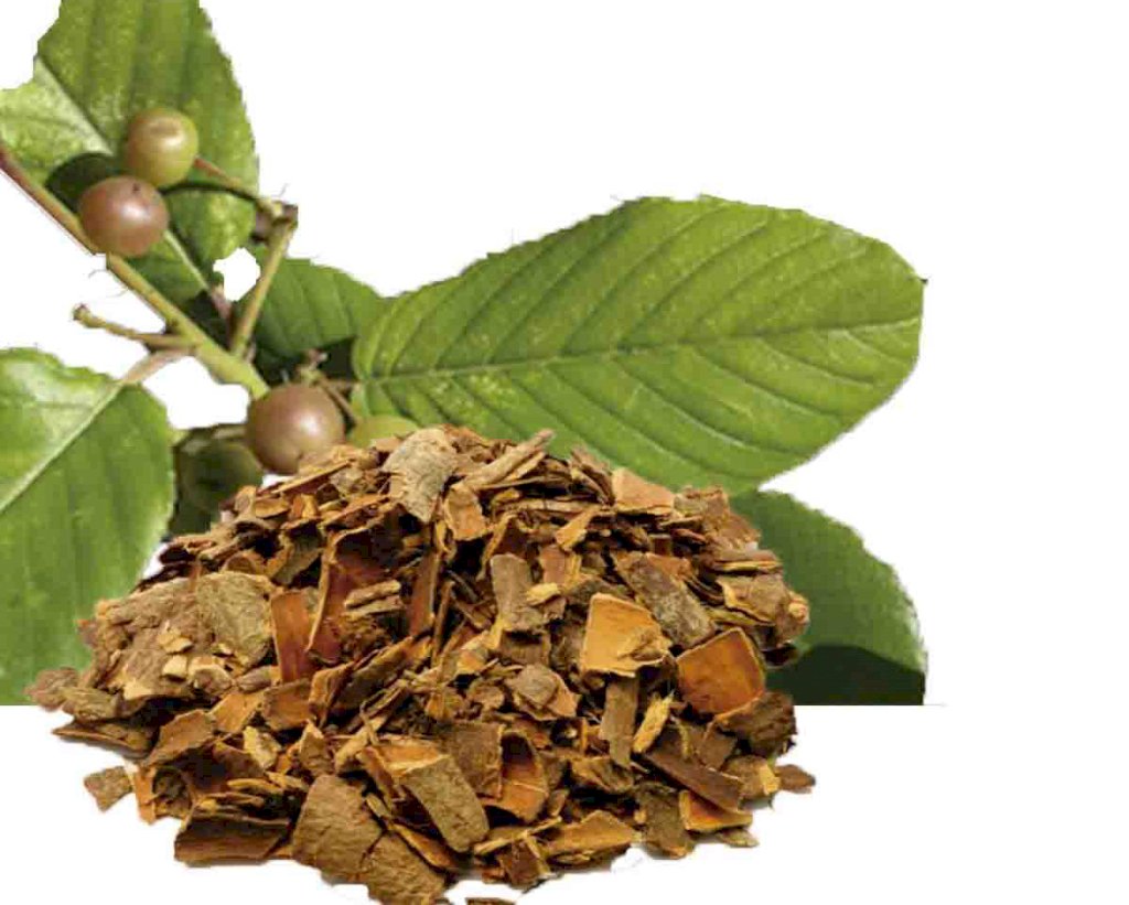 CHÁ CÁSCARA SAGRADA  - 40grs