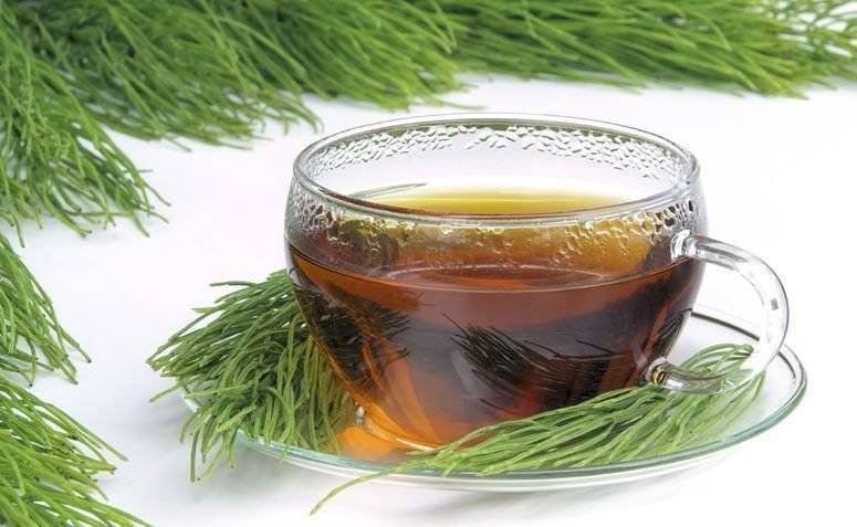 CHÁ CAVALINHA - 50grs