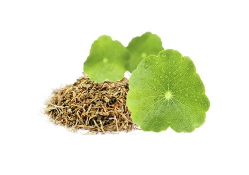 CHÁ CENTELLA ASIÁTICA - 50grs