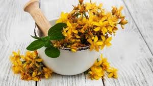 CHÁ ERVA SÃO JOÃO - 50grs