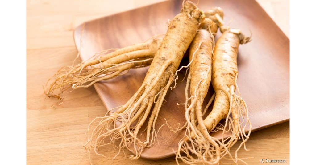 CHÁ GINSENG RAIZ - 30grs