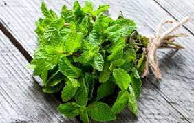 CHÁ HORTELÃ FOLHAS - 50grs