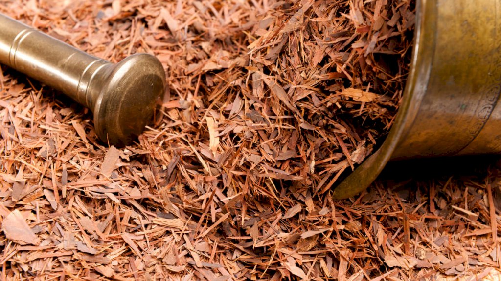 CHÁ MARAPUAMA CASCA - 50grs