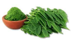 CHÁ MORINGA FOLHA - 40g