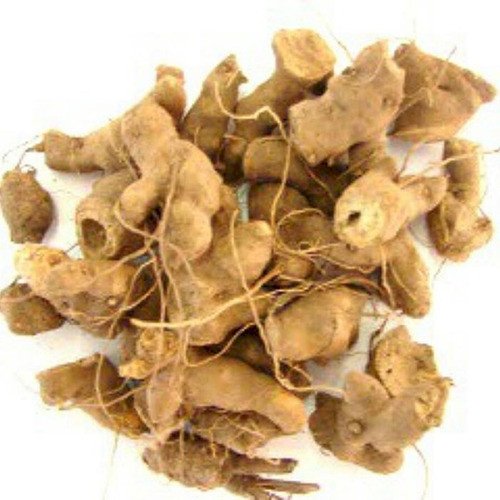 CHÁ NÓ DE CACHORRO - 50grs 