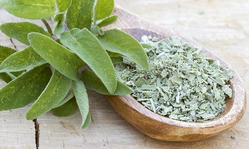 CHÁ SALVIA - 50grs