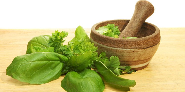 TEMPERO MANJERICÃO FLOCOS - 100grs 