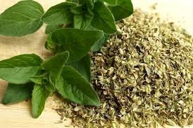 TEMPERO ORÉGANO FOLHAS - 100grs 