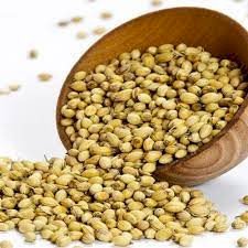 TEMPERO COENTRO GRÃO - 100grs