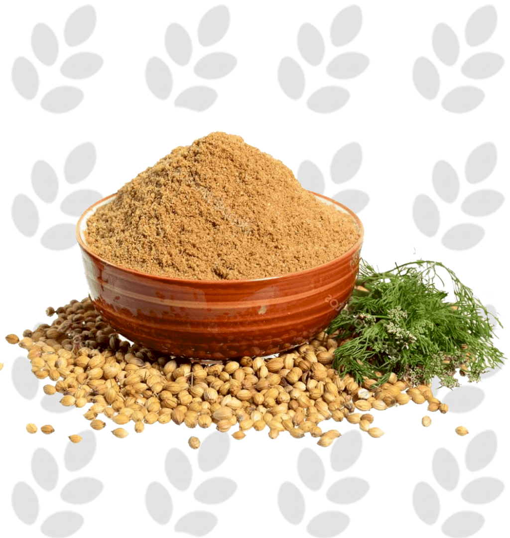 TEMPERO COENTRO EM PÓ - 100grs