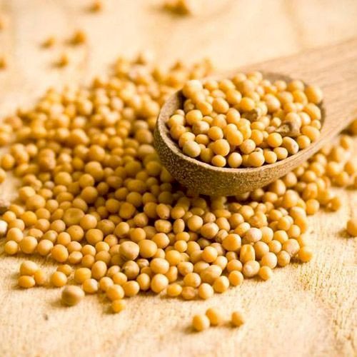  MOSTARDA GRÃO - 100grs