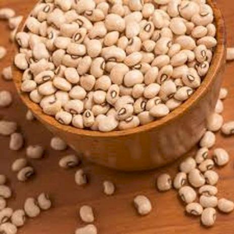 GRÃO FEIJÃO FRADINHO 