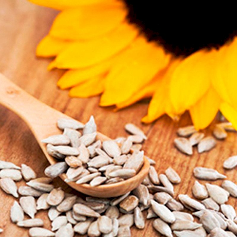 GRÃO SEMENTE DE GIRASSOL DESCASCADA CRUA 