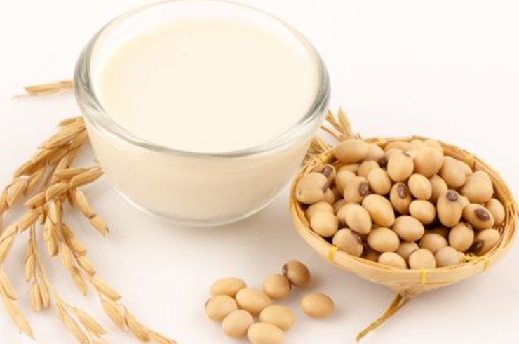 LEITE DE SOJA S/AÇÚCAR PÓ 