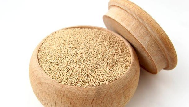 LEVEDO DE CERVEJA EM PÓ 