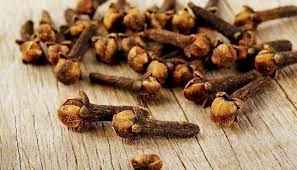 CRAVO DA ÍNDIA / FLOR