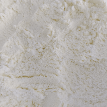 Leite zero lactose em pó 