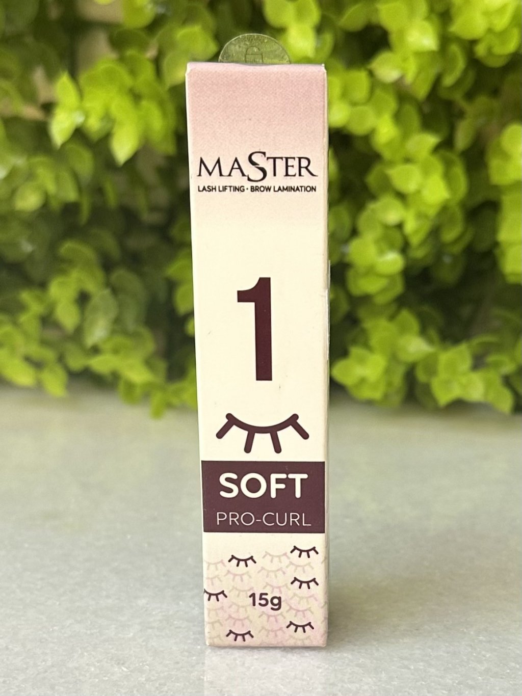 Passo 1 master 