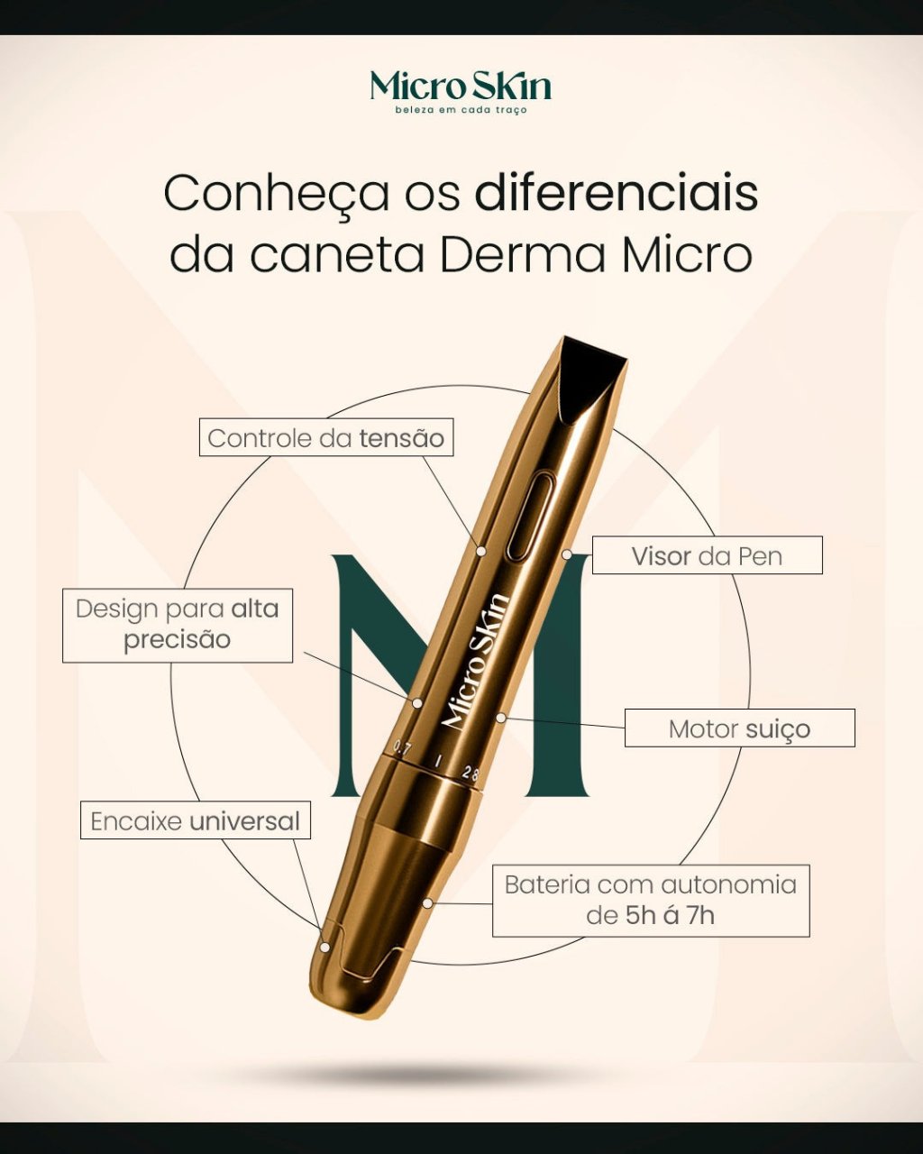 Pen derma micro skin