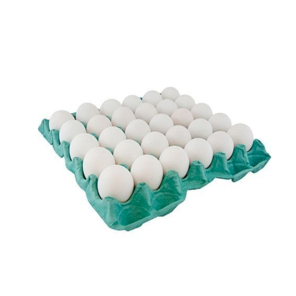 Cartela Ovos Papel Galinha - 30 ovos