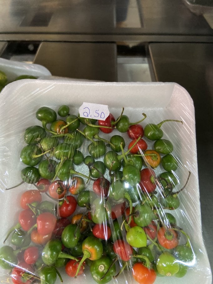 Pimenta Bode (Bandeja)