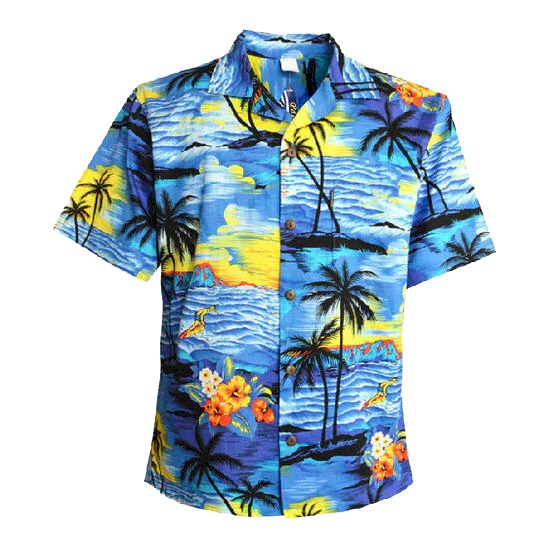CAMISA ESPORTE