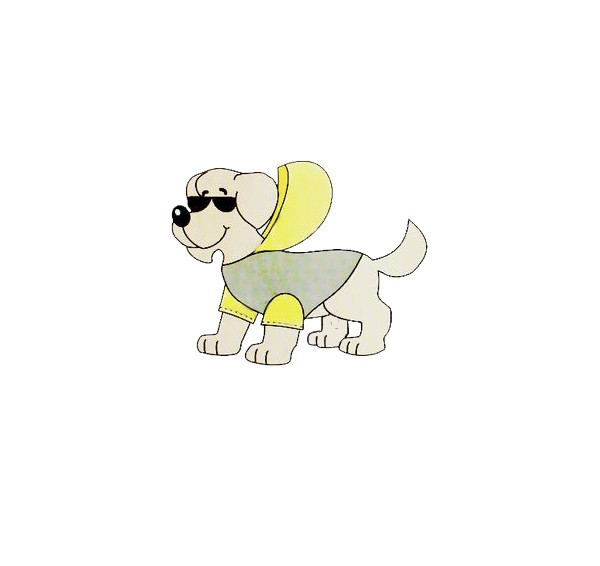 BLUSA COM CAPUZ PET