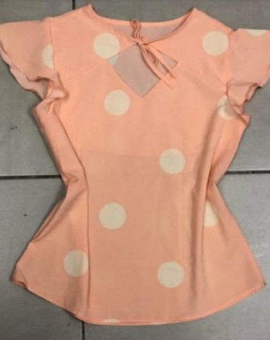 MODELAGEM Blusa Claudia 3