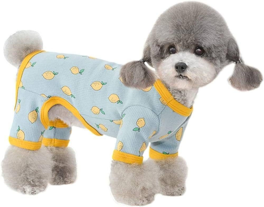 MACACÃO PET COM CAPUZ