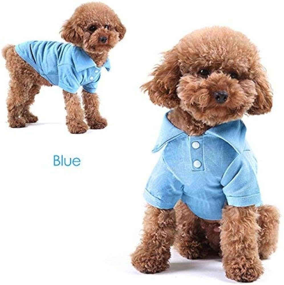POLO PET