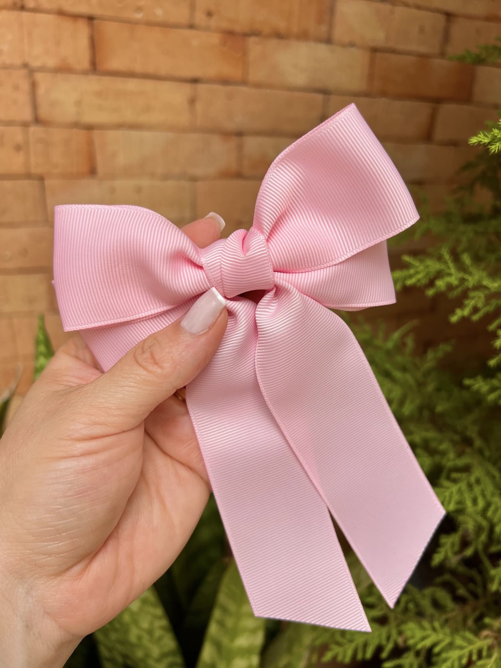 Laço Clara em Gorgurão (unidade)