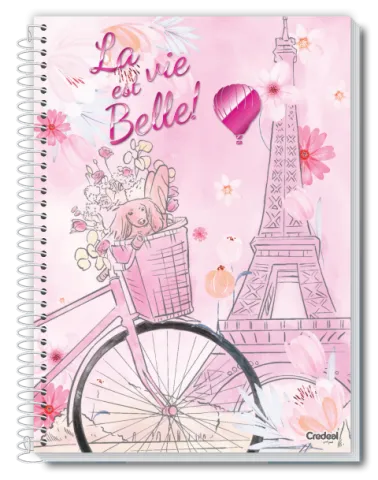 CADERNO 12 MATÉRIAS CAPA DURA BELLA CREDEAL (272336)