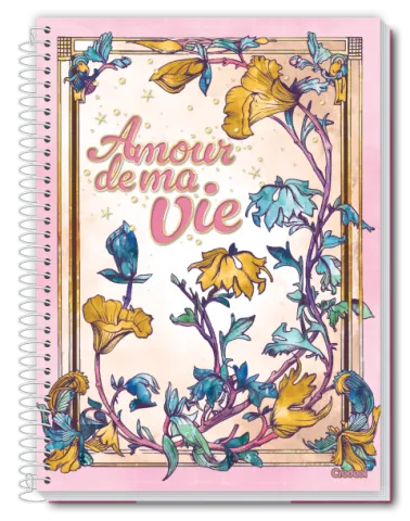 CADERNO 10 MATÉRIAS CAPA DURA BELLA CREDEAL (272329)