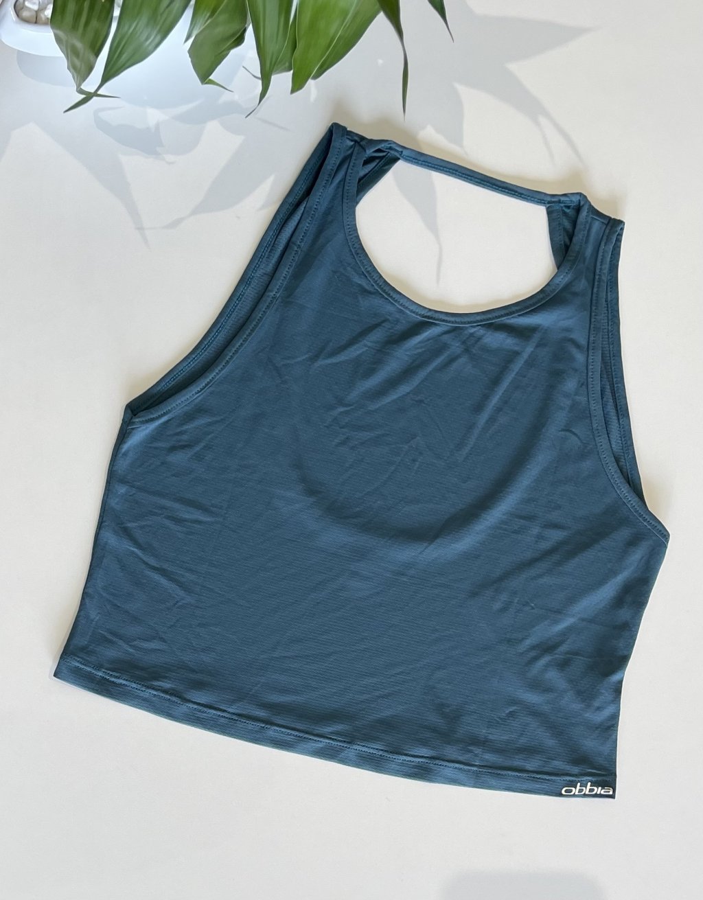 Cropped obbia 