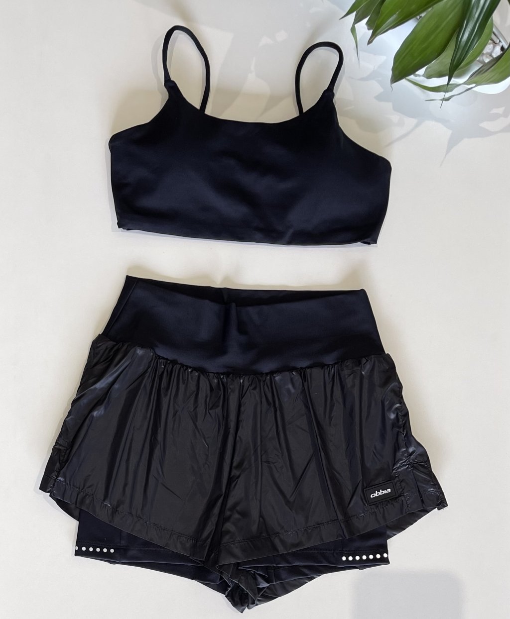 Conjunto obbia 