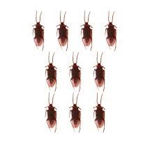 Pacote Com Mini Baratas Latex