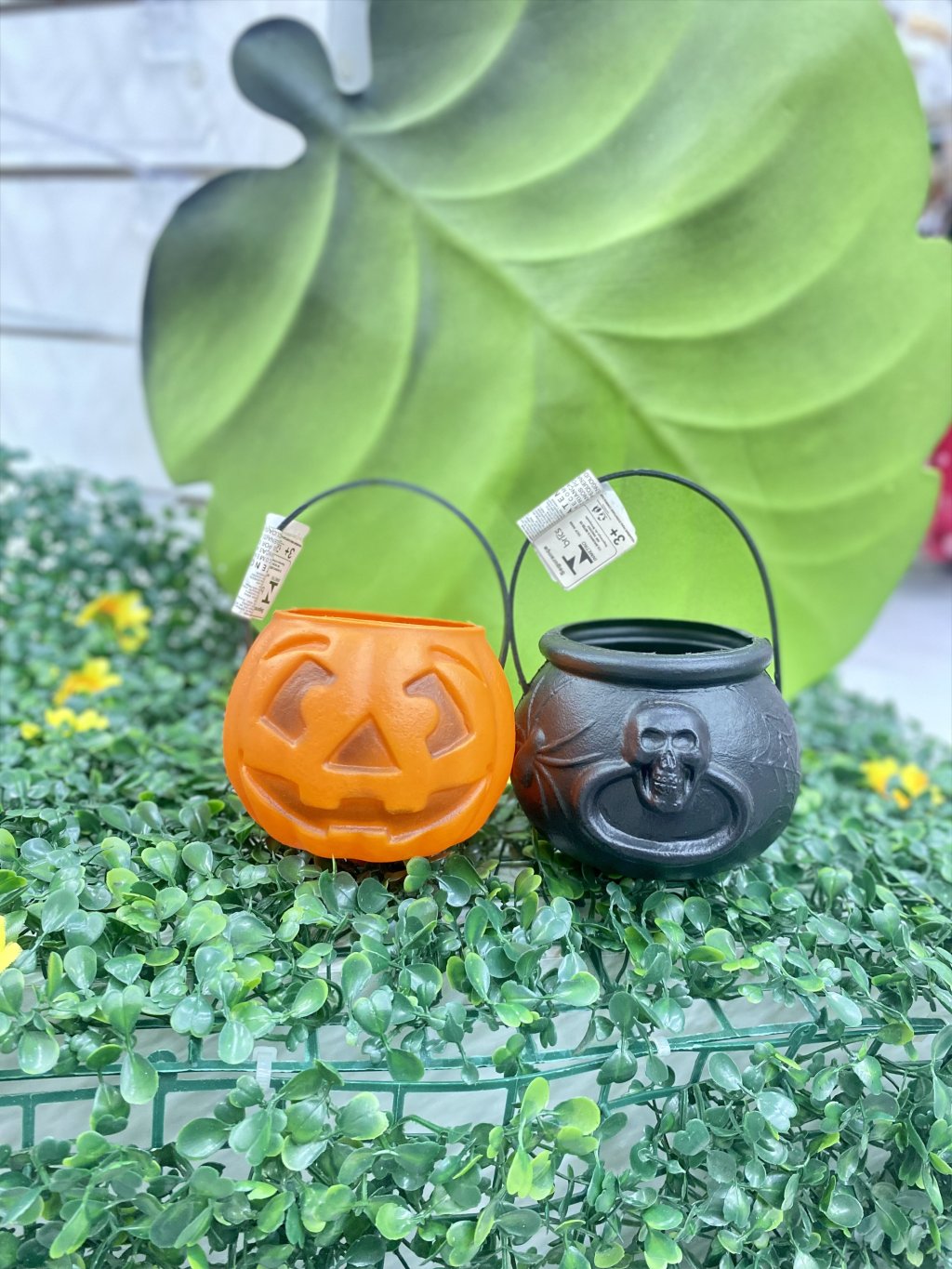 Abóbora e Caldeira P