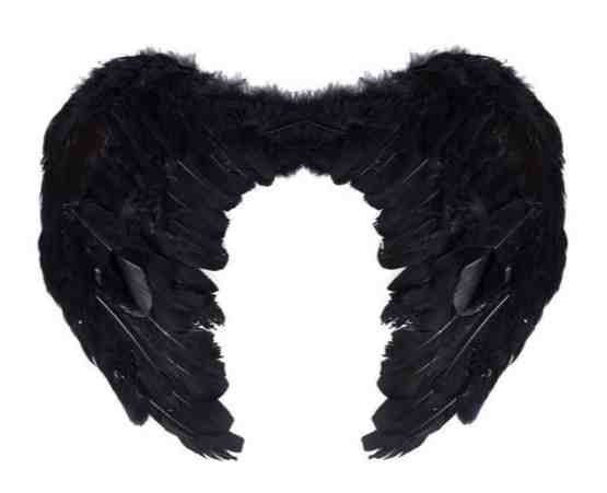 Asa Anjo pena Preta 40x60